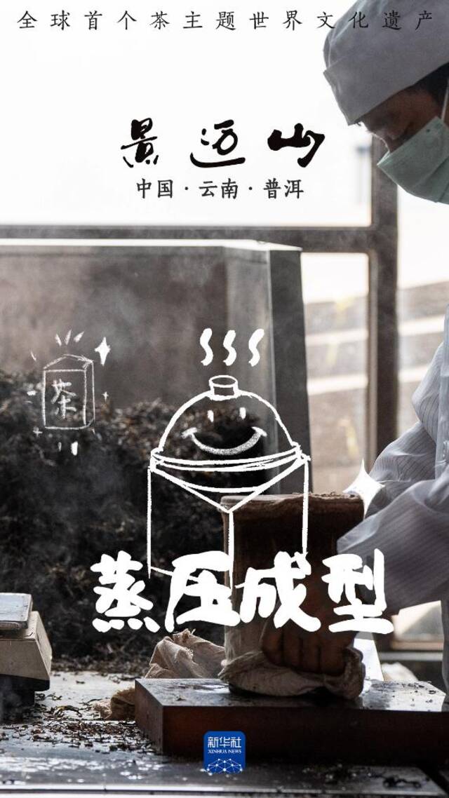 说TA是茶届“顶流”可一点也不过分！