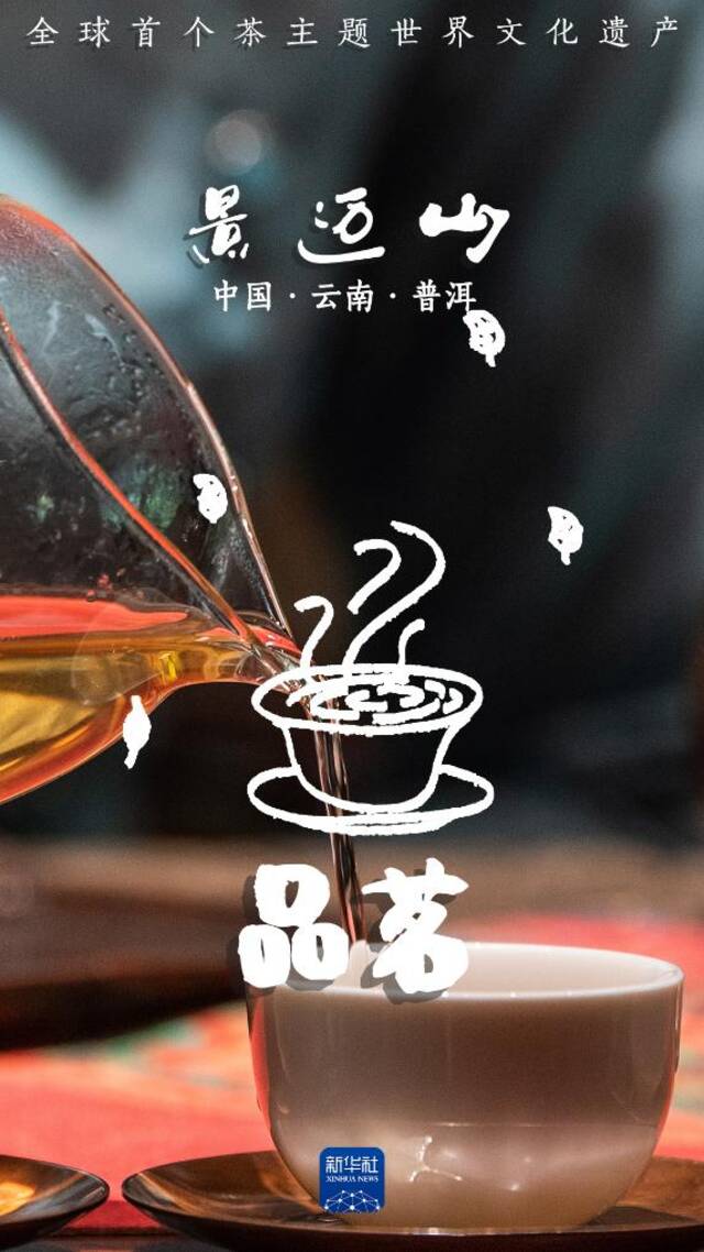 说TA是茶届“顶流”可一点也不过分！