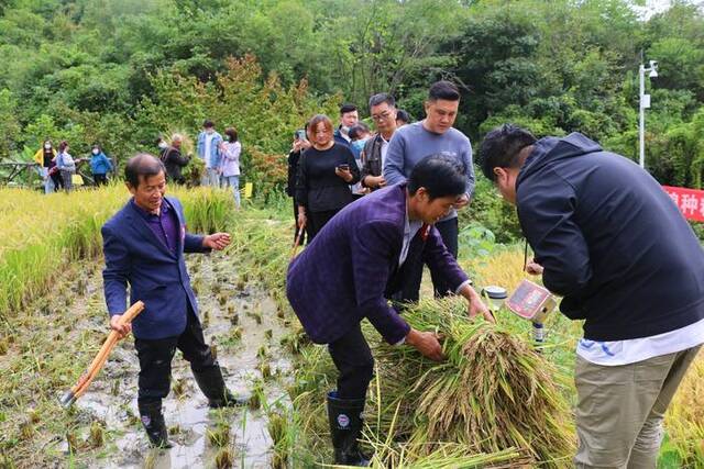 中国移动“慧”就三秦大地丰收画卷