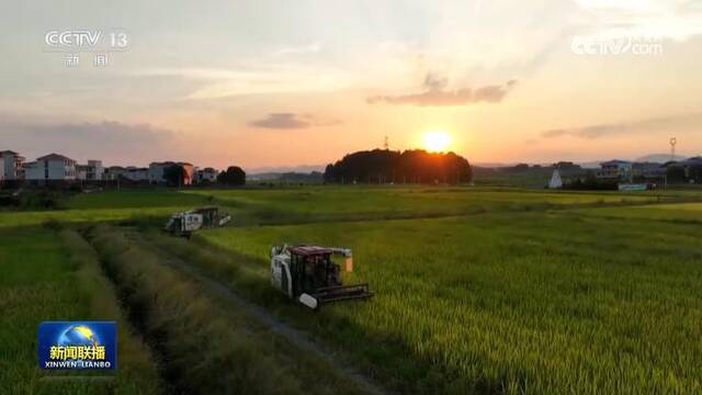 【在希望的田野上】全国秋粮丰收在望