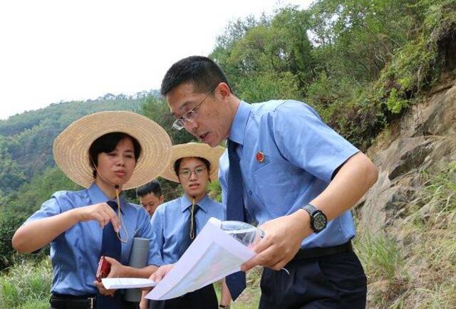 缙云县检察院检察官在县内防火林间道现场查看项目设计图纸,并与实际项目建设路线进行比对。