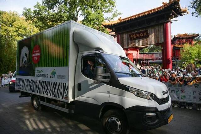 9月27日，装着大熊猫“梵星”的汽车启程离开荷兰雷嫩的欧维汉兹动物园。新华社记者郑焕松摄