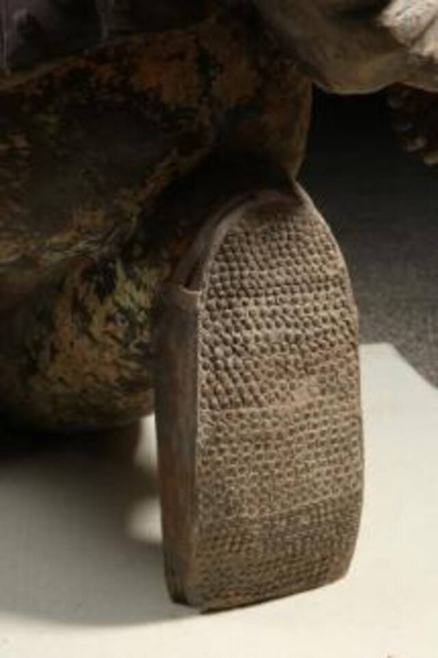秦始皇帝陵博物院策展人：他不只是一个陶俑，更是一个人