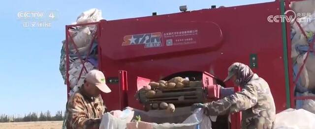 中国各地秋粮陆续进入收获季