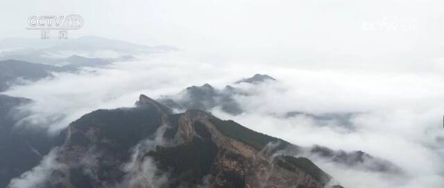 74载栉风沐雨，74载春华秋实！活力中国 欣欣向荣