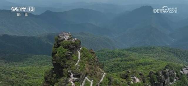 74载栉风沐雨，74载春华秋实！活力中国 欣欣向荣