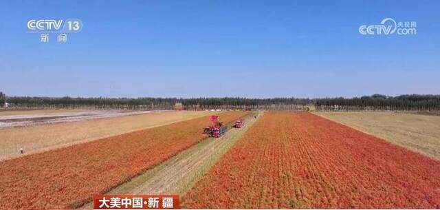 惊艳华夏大地山河秋景 大江南北同庆五谷丰登