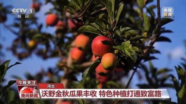 景区如何应对大客流？乡村慢生活有何不同？假日观察带你看→