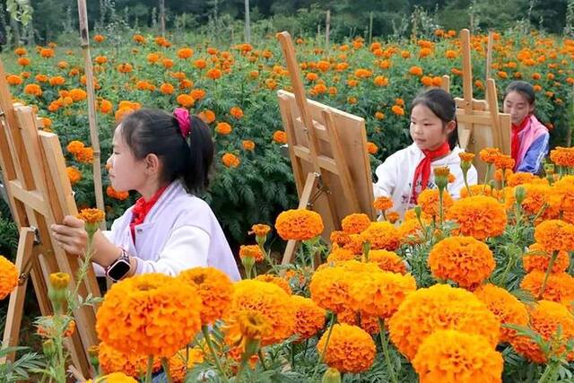 富源县，洗洋塘小学的孩子们在万寿菊花海写生