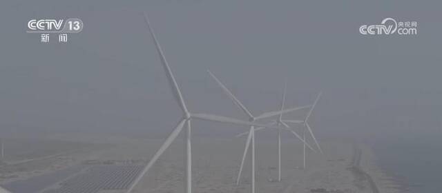 中国技术、中国设备“走出去” 中企助力阿联酋首个风电项目投入运营