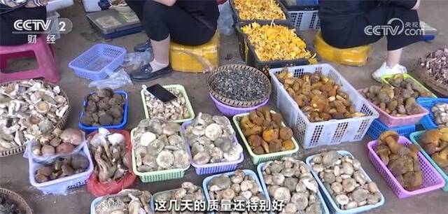 多地“菜篮子”节后价格出现回落 全国供应形势稳定向好