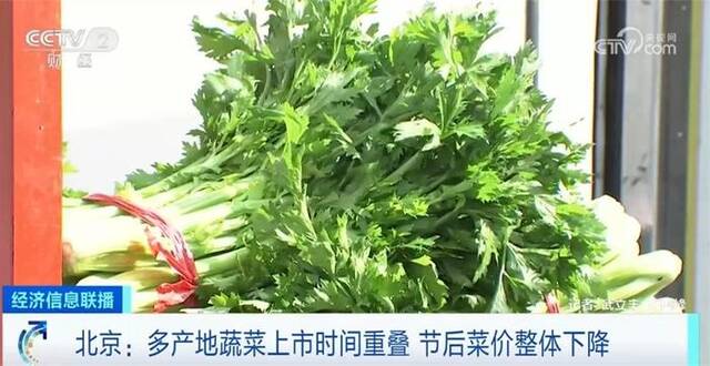 多地“菜篮子”节后价格出现回落 全国供应形势稳定向好