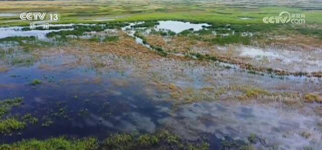 各地采取多项措施推进湿地保护与发展 生态保护修复成效显著