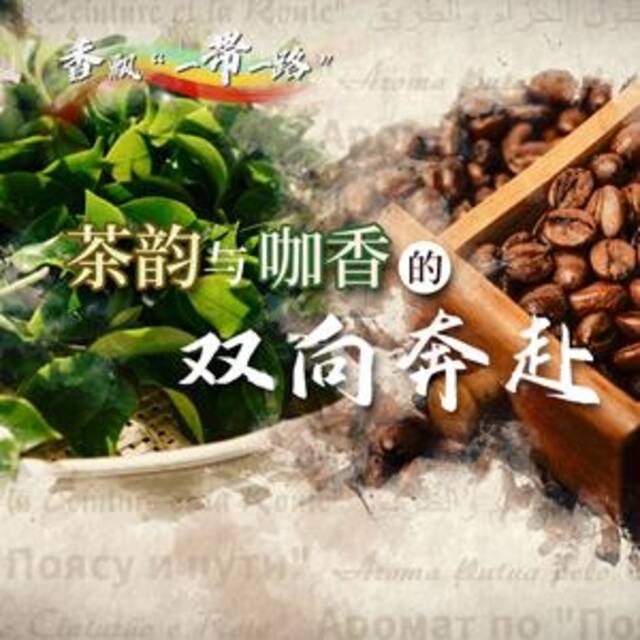 香飘“一带一路”｜茶韵与咖香的双向奔赴