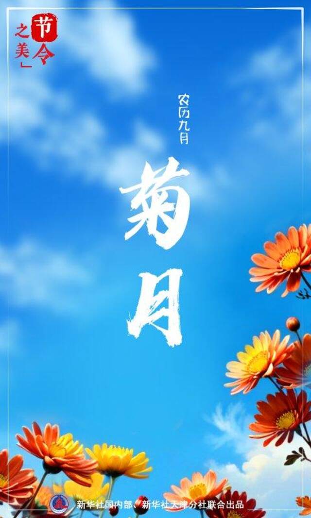 节令之美丨农历九月天，菊花有佳色