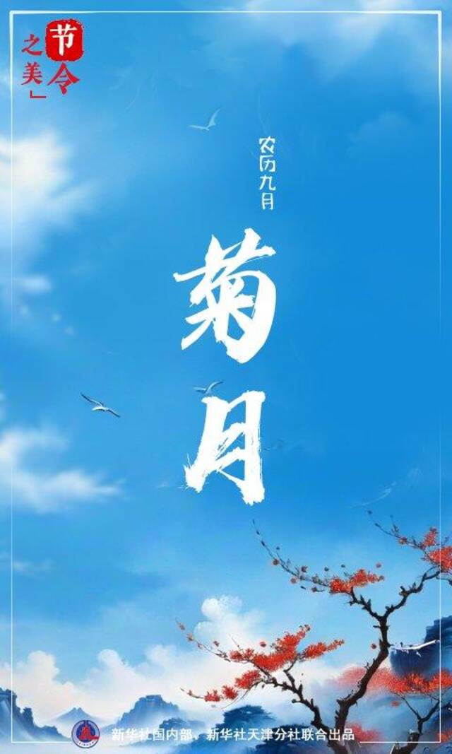 节令之美丨农历九月天，菊花有佳色