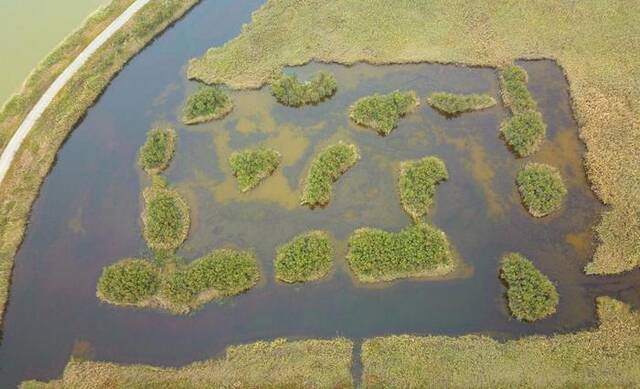 东营黄河三角洲湿地景色（无人机照片）。新华社记者徐速绘摄