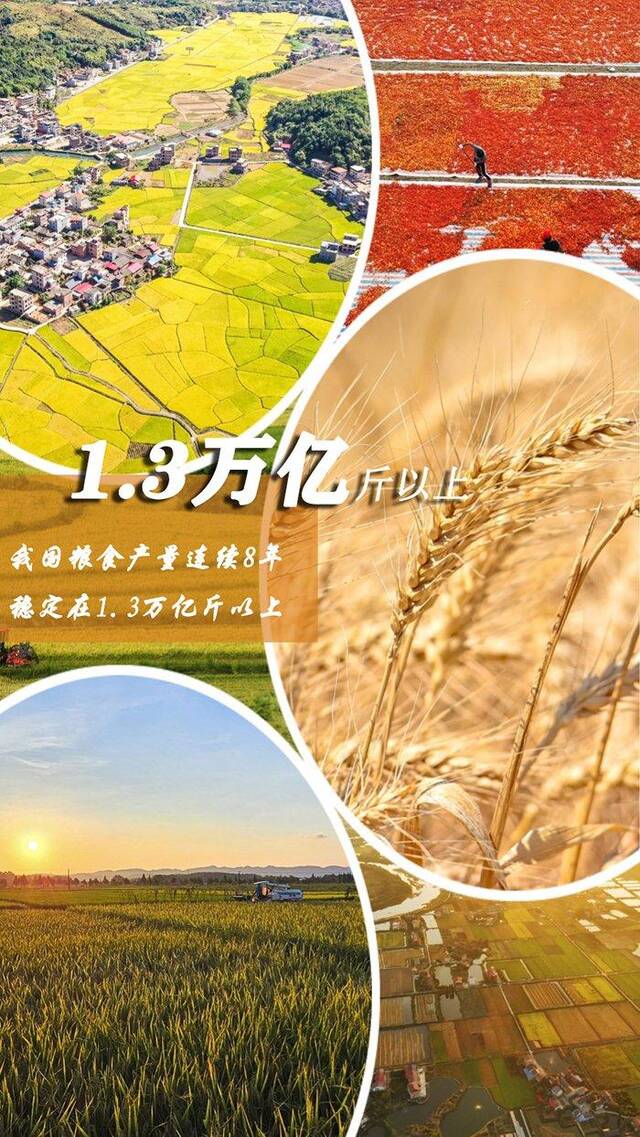 世界粮食日｜一组数据带你看大国粮仓