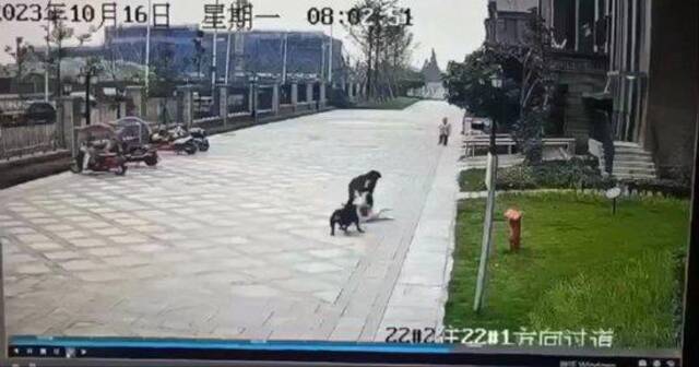 监控视频显示，黑色犬只对2岁多的唐某展开攻击。监控视频截图