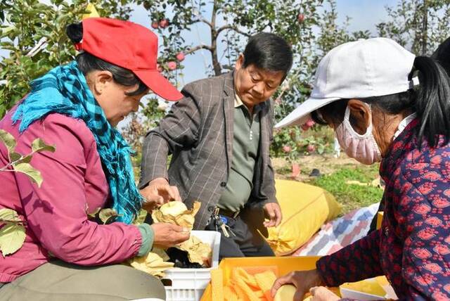 李志斌（中）和村民一起给苹果装箱。新华社记者郑昕摄