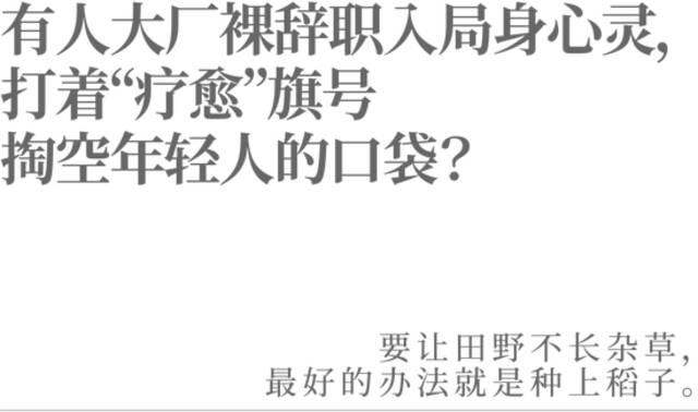 有人大厂裸辞职入局身心灵，打着“疗愈”旗号掏空年轻人的口袋？