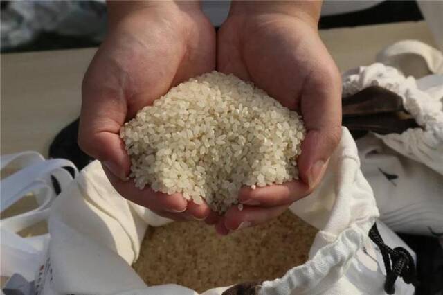 陕西省西安市长安区王莽街办刘秀村完成烘干收获的稻米。新华社记者刘彤摄