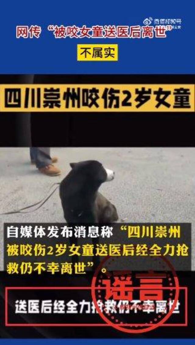 女童打狗导致被咬？犬主为黑衣女子？成都警方辟谣：都是假的