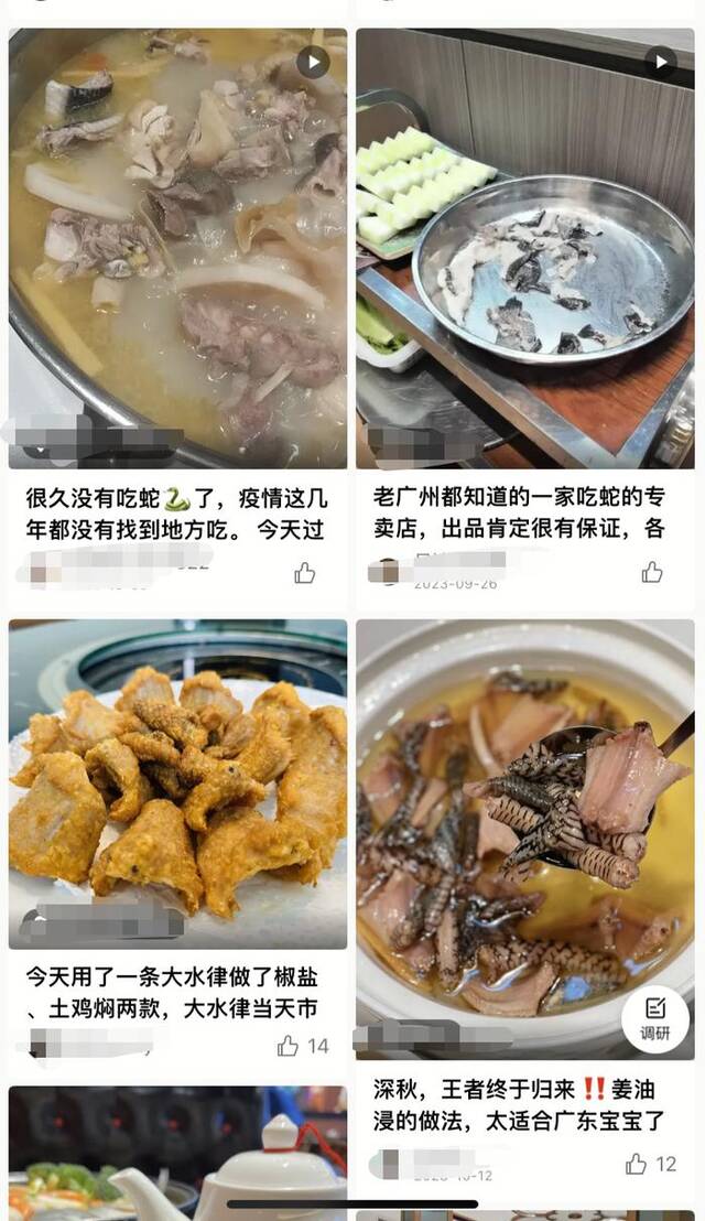 网上推荐烹饪蛇肉食肆的文案