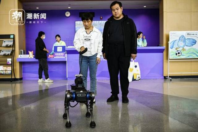 电子导盲犬为视障人士陈莲和张建新带路。