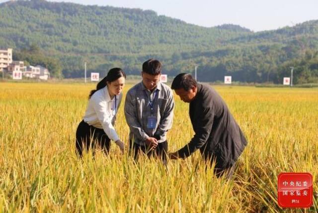 专项整治在行动