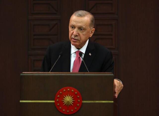6月3日，土耳其总统埃尔多安在首都安卡拉讲话。新华社发（穆斯塔法·卡亚摄）