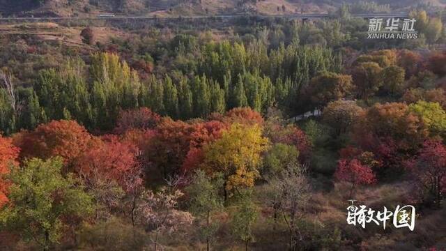 瞰中国｜河北唐县：秋日黄昏 红叶似霞落山间