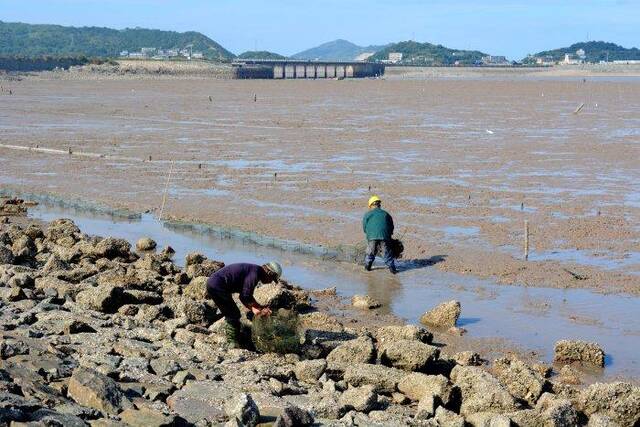 浙江温岭:对