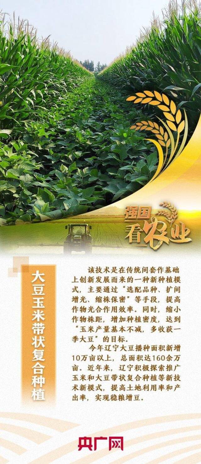 【强国看农业】种豆不止得豆