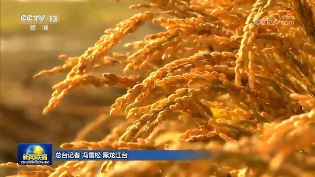 黑龙江当好“压舱石” 推动农业高质量发展