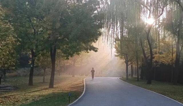 晨雾。（拍摄：杜甫江阁的风海淀）