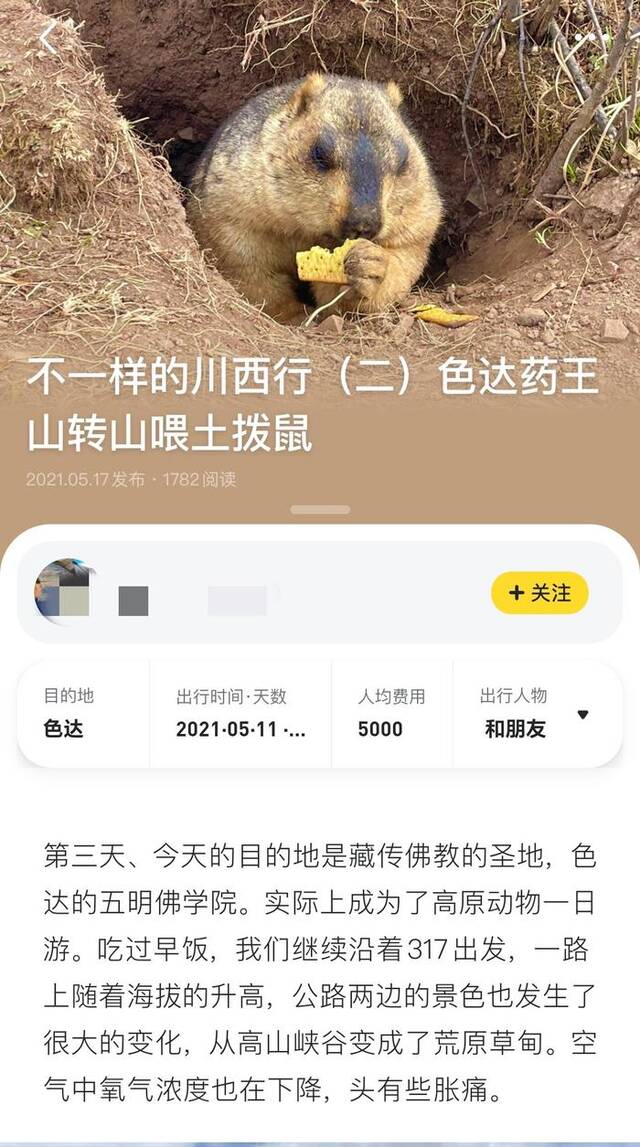 多篇网帖建议网友与土拨鼠“亲密接触”。网络图