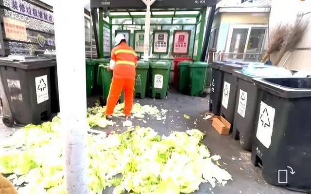 垃圾不够大白菜来凑，媒体：是谁制定下达了指标化的分拣任务