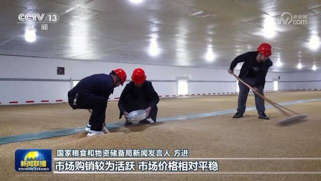 我国秋粮收购超4000万吨 市场购销活跃