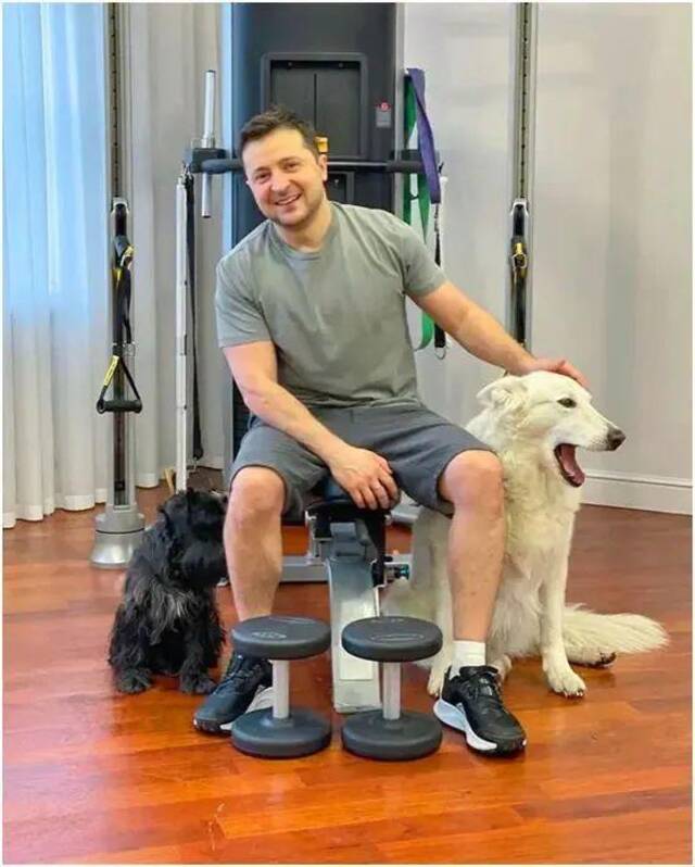 2022年1月3日，泽连斯基曾在社交媒体上分享他与爱犬的照片