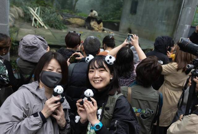 大熊猫“香香”日本亲友团成员在中国大熊猫保护研究中心雅安基地看望“香香”（11月8日摄）。新华社记者江宏景摄