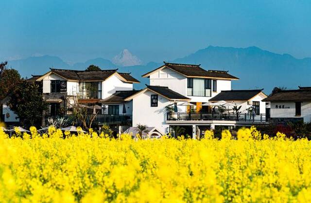 2021年3月，五星村“天府乡居”（崇州市委宣传部供图）