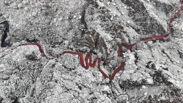 ▲11月11日拍摄的山东省邹平市南部长白山区雪景。图片来自新华社