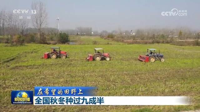 【在希望的田野上】全国秋冬种过九成半