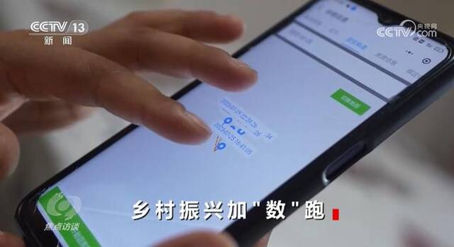 焦点访谈：乡村振兴加“数”跑