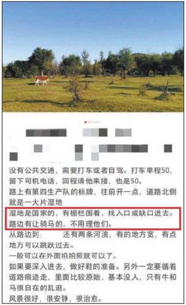 发布有“毒”旅游攻略,别以为没事儿