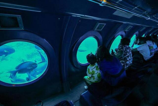 ▲在马累，游客乘坐潜水艇欣赏珊瑚礁中的鱼群。图/新华社