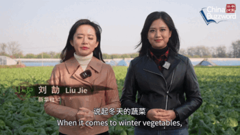 中国热词：小雪里的问候与牵挂