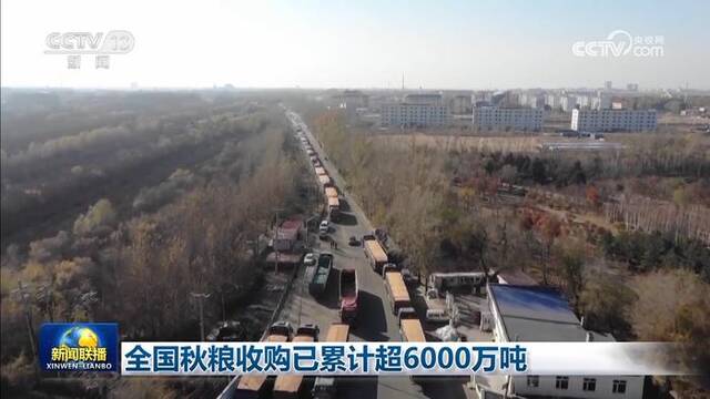 全国秋粮收购已累计超6000万吨