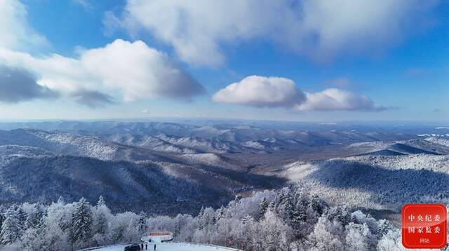 镜头丨小雪至 冬伊始